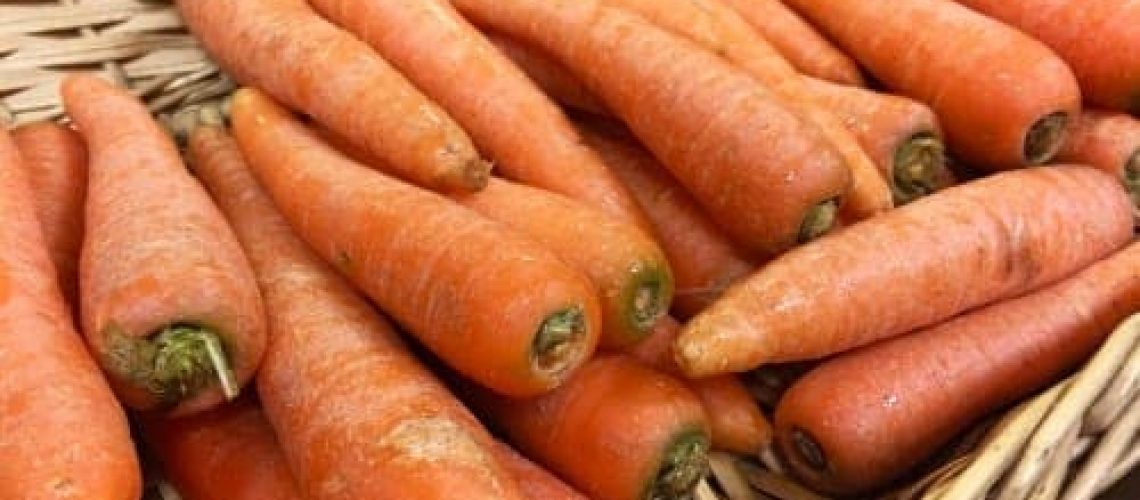 Porkkanoita
